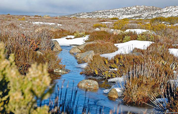 Spring Thaw, photo courtesy Kim Maisch at www.kmaisch.com/gallery/landscapes/ice_pool