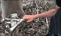 Militia victim; Source = http://news.bbc.co.uk/olmedia/570000/images/_574490_bones300.jpg