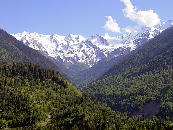 Caucasus; source is http://commons.wikimedia.org/wiki/Image:VittfarneGeorgien_155.jpg