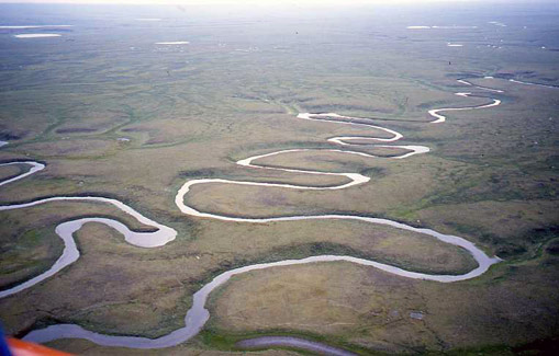 Source is http://www.hi.is/~oi/Siberia%20photos/Meandering%20river%20on%20the%20Yamal%20tundra.jpg